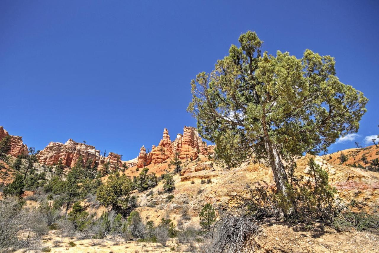 Bryce Canyon Area House With Mountain Views! Tropic Zewnętrze zdjęcie